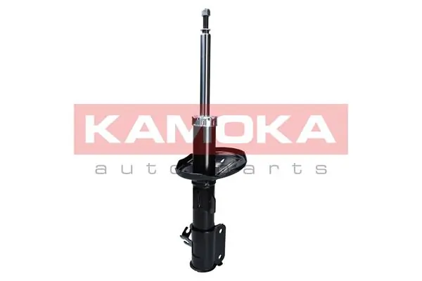 Shock Absorber 2000275