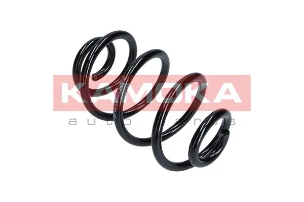 Suspension Spring 2120210