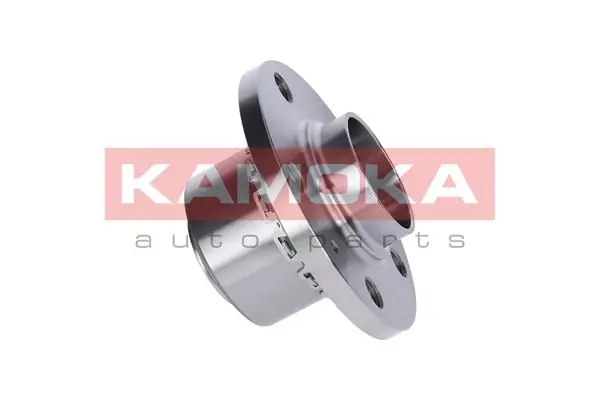 Wheel Bearing Kit 5500064