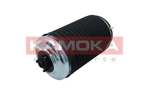 Air Spring, suspension 2079004