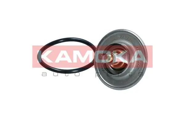 Thermostat, coolant 7710062