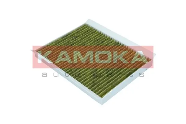 Filter, cabin air 6080011