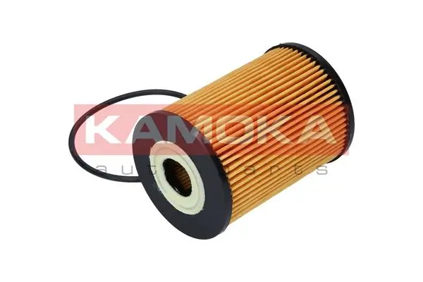 Oil Filter F106901