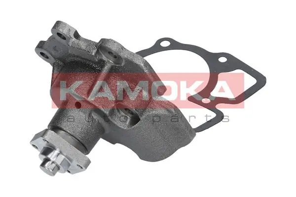 Water Pump, engine cooling T0143