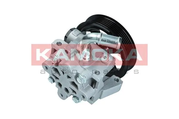 Hydraulic Pump, steering PP113