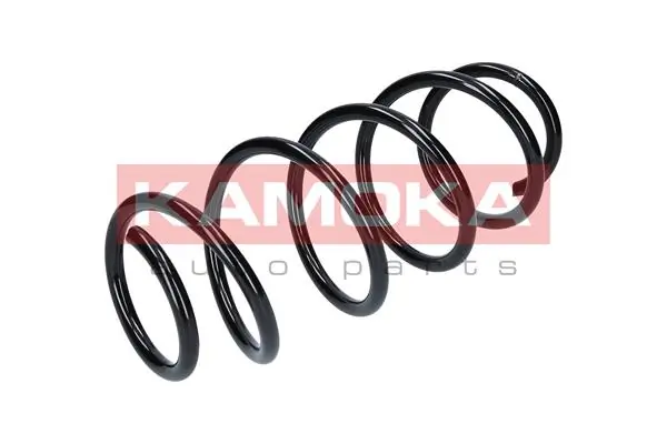 Suspension Spring 2110271