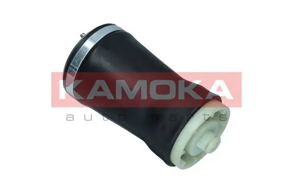 Air Spring, suspension 2079021