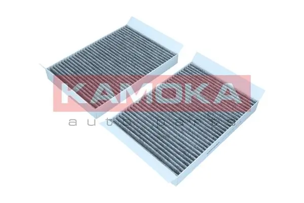 Filter, cabin air F522301