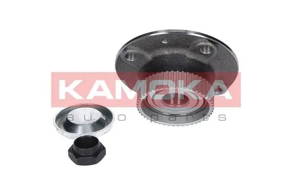 Wheel Bearing Kit 5500025