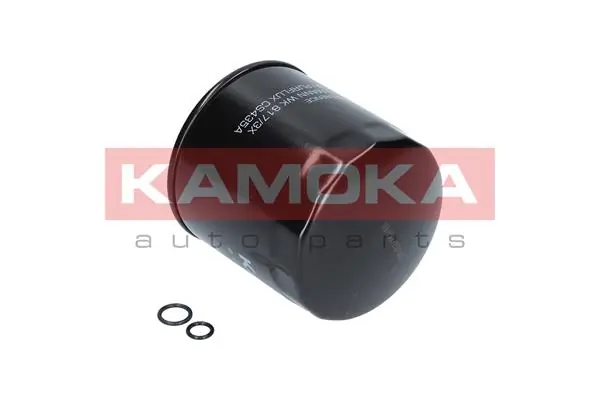 Fuel Filter F300601