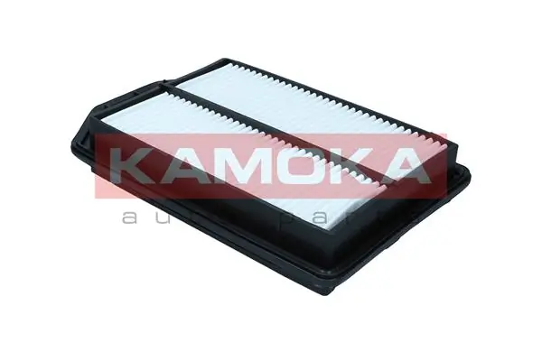Air Filter F256701