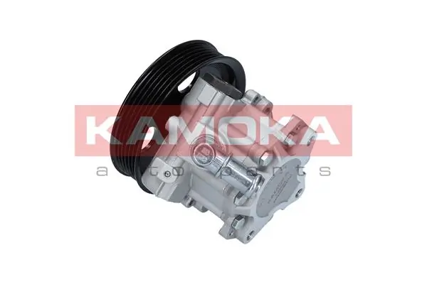 Hydraulic Pump, steering PP004