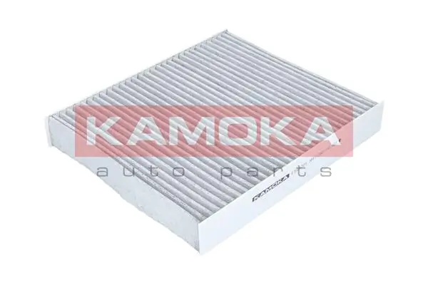 Filter, cabin air F504701