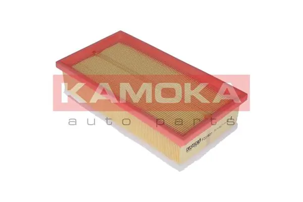Air Filter F223601