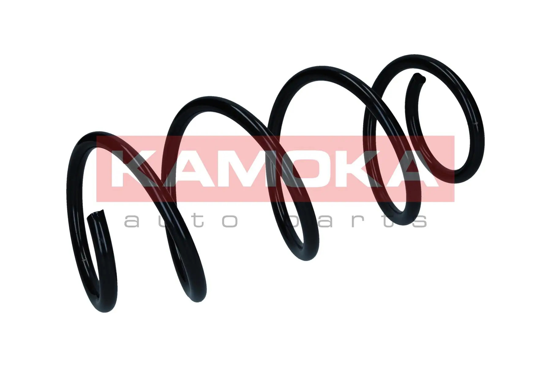 Suspension Spring 2110593