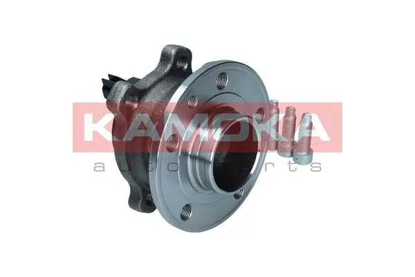 Wheel Bearing Kit 5500377