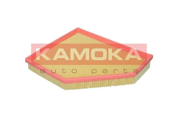 Air Filter F255301