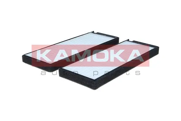 Filter, cabin air F429601