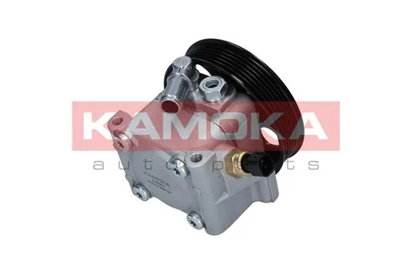 Hydraulic Pump, steering PP098