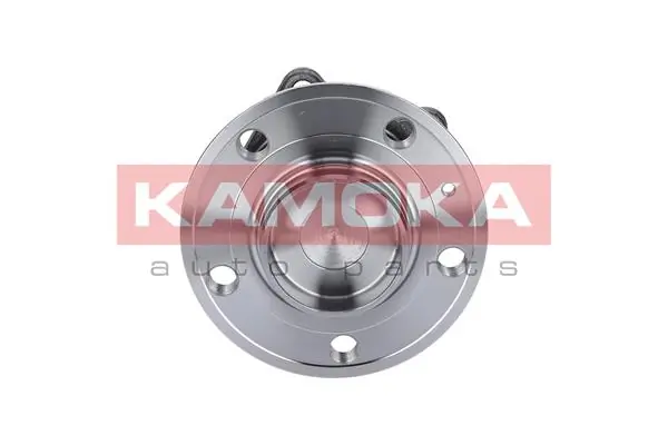 Wheel Bearing Kit 5500065