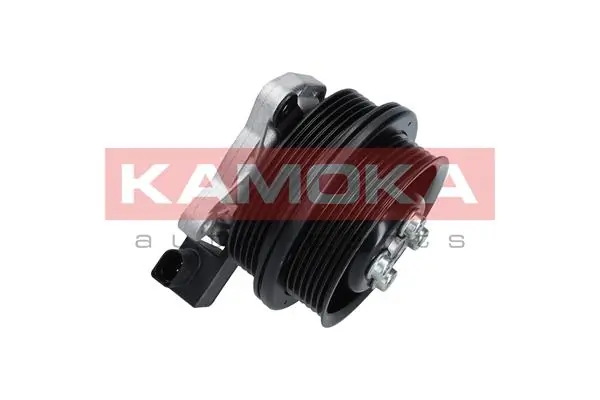 Water Pump, engine cooling T0278