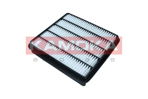 Air Filter F261001