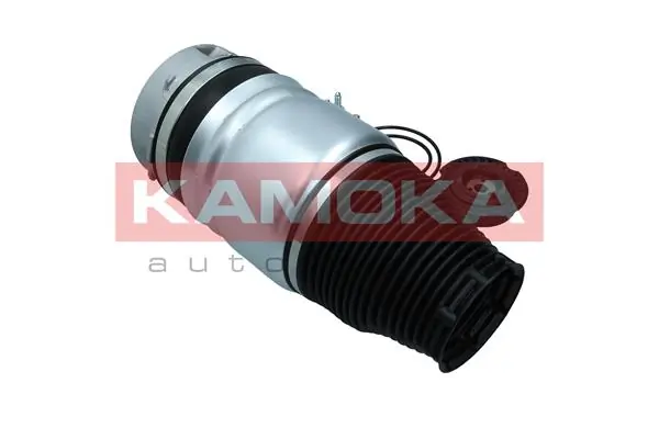 Air Spring, suspension 2079007