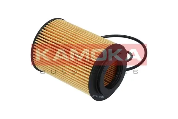 Oil Filter F111901