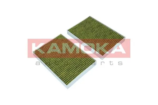 Filter, cabin air 6080042