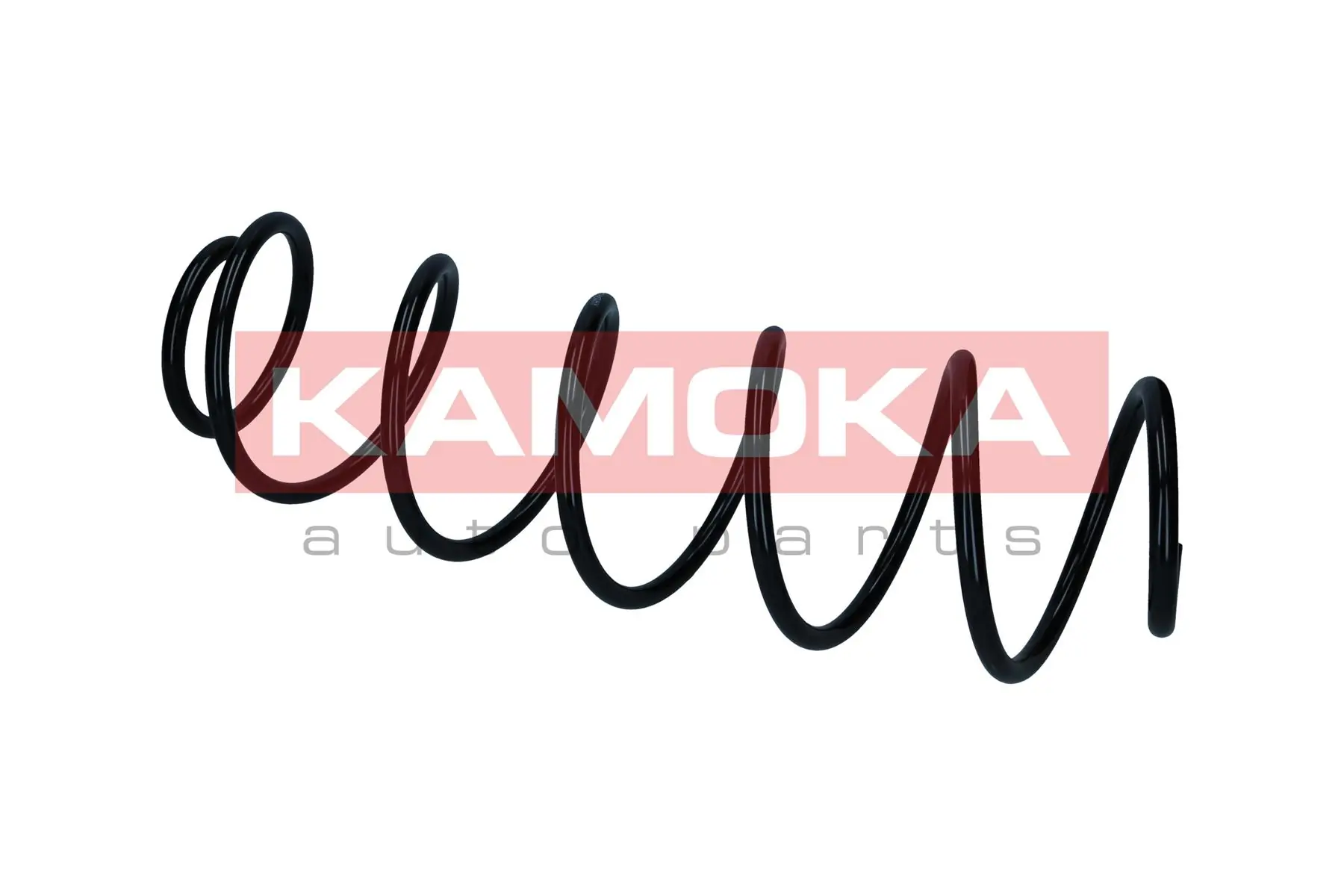 Suspension Spring 2110440