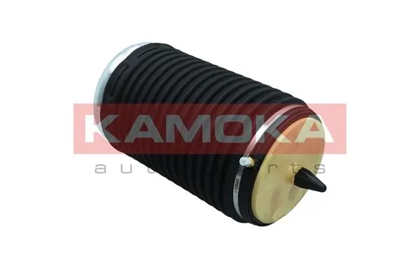 Air Spring, suspension 2079004