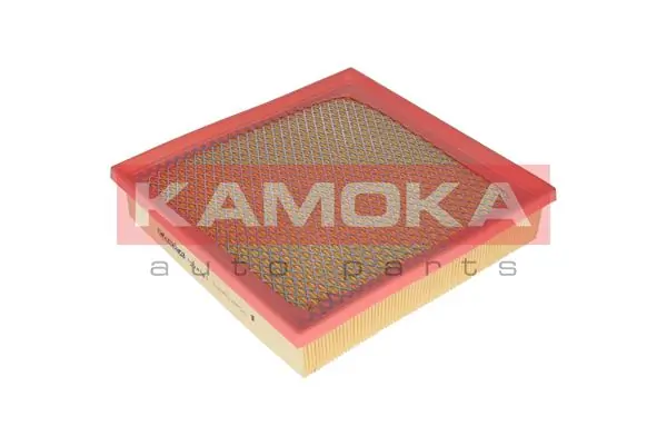 Air Filter F224801