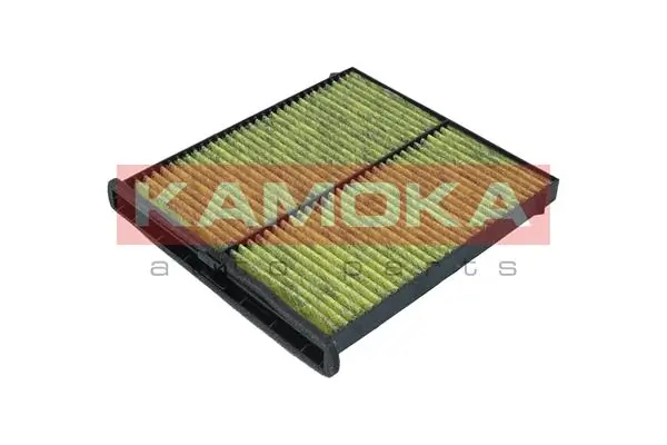 Filter, cabin air 6080096