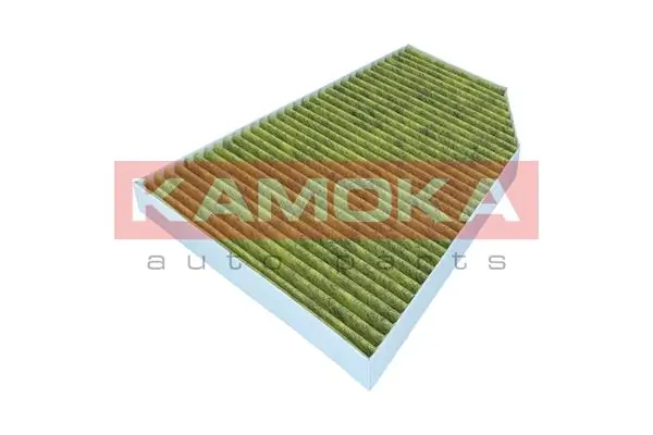 Filter, cabin air 6080174