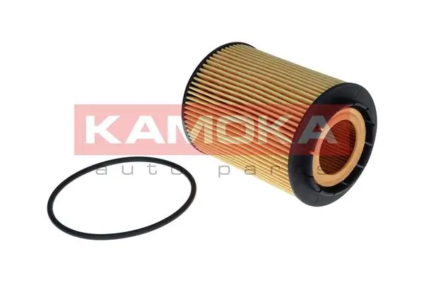 Oil Filter F126901