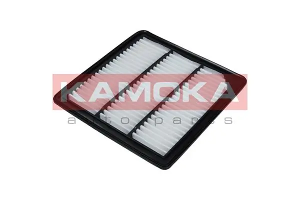 Air Filter F238101