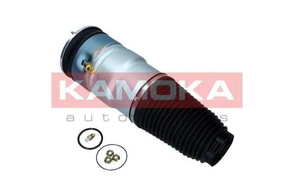 Air Spring, suspension 2079043