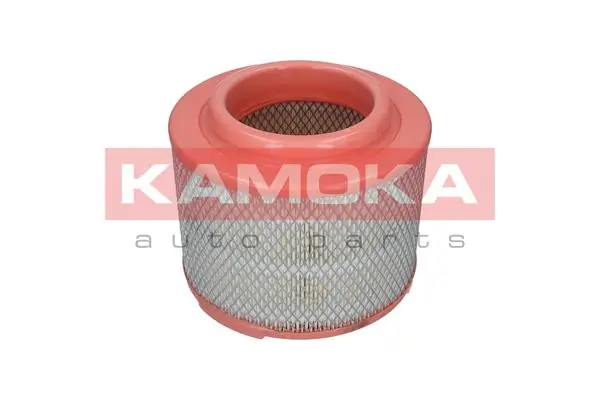 Air Filter F236201