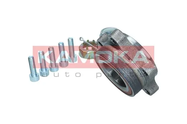 Wheel Bearing Kit 5500238