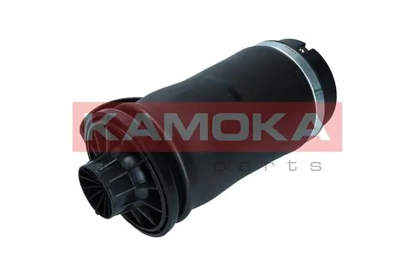 Air Spring, suspension 2079045