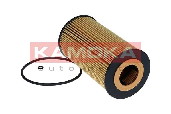 Oil Filter F129801