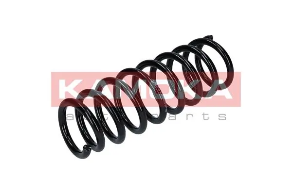 Suspension Spring 2120293
