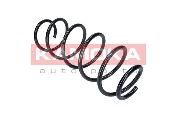 Suspension Spring 2110325