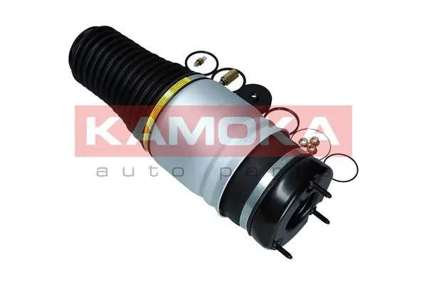 Air Spring, suspension 2079027