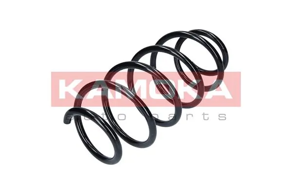 Suspension Spring 2110330