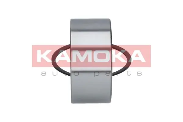 Wheel Bearing Kit 5600041