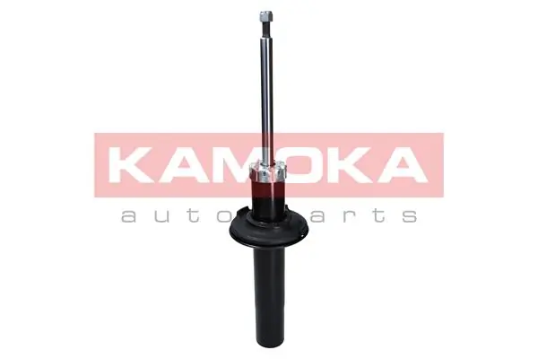 Shock Absorber 2000649