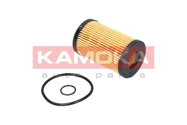 Oil Filter F105301