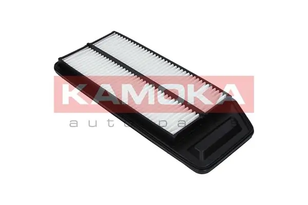 Air Filter F225301