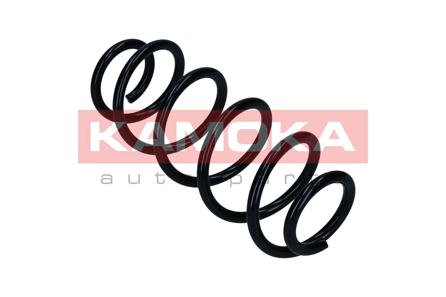 Suspension Spring 2120554